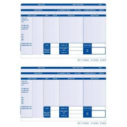 Iris Compatible A4 Payslip 2 per Sheet Pack of 1000 Payslips